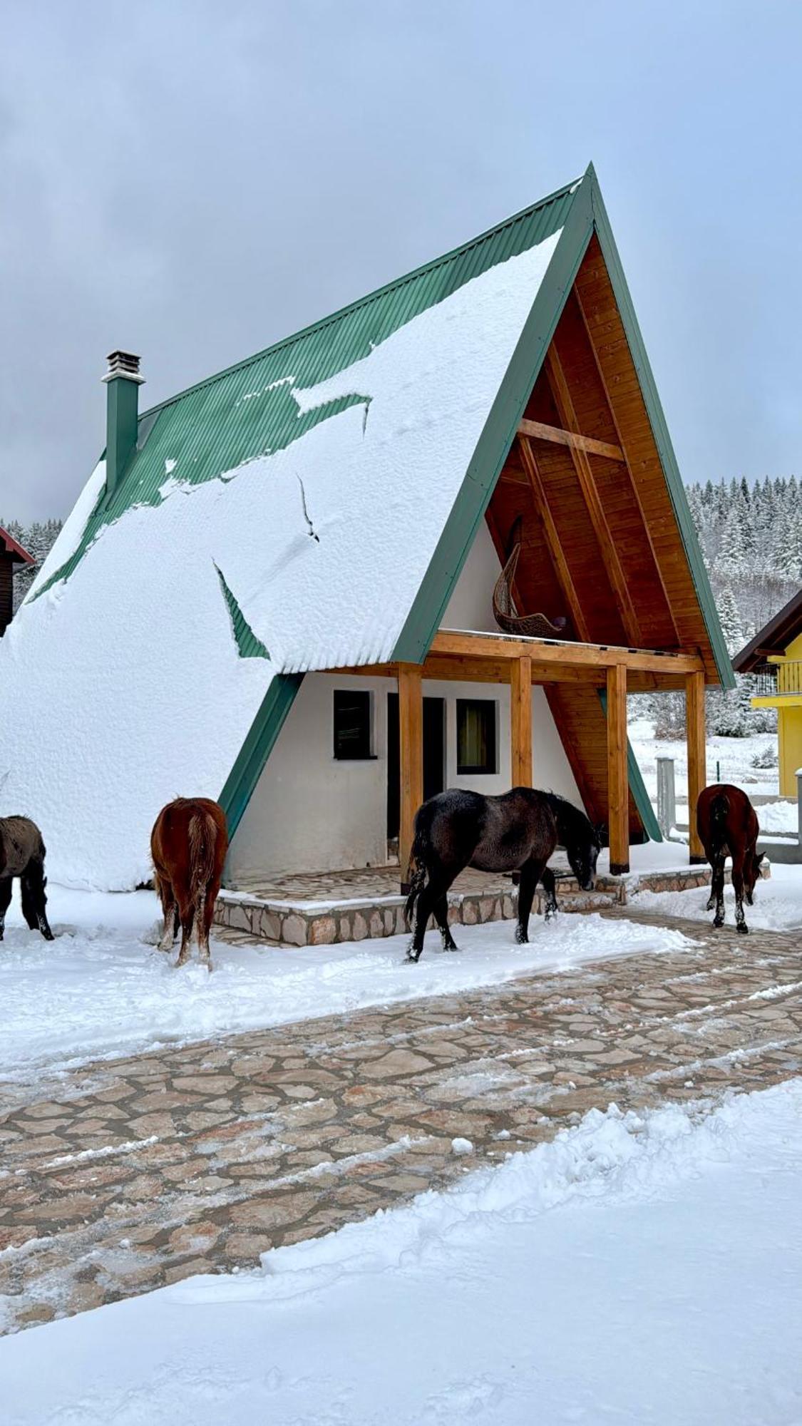 Woodside Zabljak Екстер'єр фото